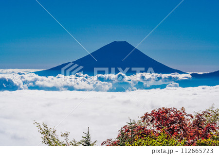 (山梨県)櫛形山の紅葉越しに富士山 (山梨県)櫛形山の紅葉越しに富士山 112665723