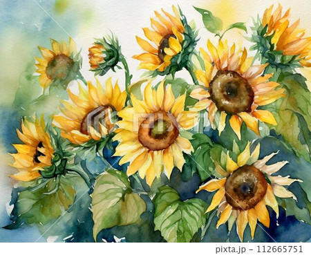 ひまわりの水彩画のイラスト素材 [112665751] - PIXTA