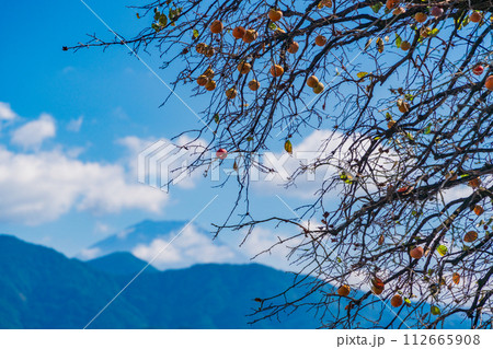残り柿（青空・富士山背景） 112665908