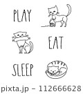 Funny card with doodle cats and phrase- play,eat and sleep. 112666628