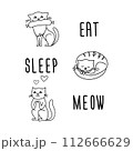 Funny card with doodle cats and phrase- eat,sleep and meow 112666629