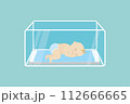 Little newborn baby in incubator box,medical and health care concept, 112666665