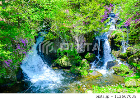 竜頭の滝 112667038