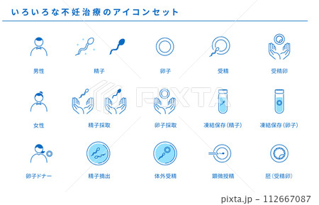いろいろな不妊治療のシンプルアイコンセット、ベクター いろいろな不妊治療のシンプルアイコンセット、ベクター 112667087