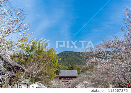 京都 醍醐寺の春景色 西大門（仁王門） 112667876