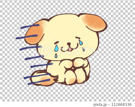 小狗坐在運動訓練中哭泣 小狗坐在運動訓練中哭泣 112668336