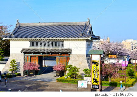 岡崎公園 桜咲く表玄関の大手門 岡崎公園 桜咲く表玄関の大手門 112668370