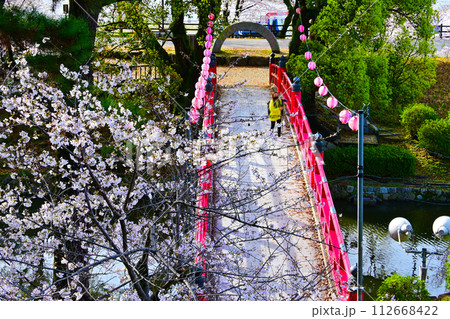 岡崎公園 桜満開の龍城堀と朱色の神橋 岡崎公園 桜満開の龍城堀と朱色の神橋 112668422