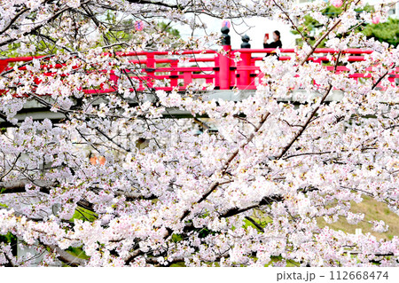 岡崎公園　朱色が美しく映える龍城堀の神橋 112668474