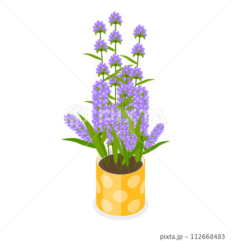 3D Isometric Flat Vector Set of Garden Flowers, Different Plants in Pots. Item 2 3D Isometric Flat Vector Set of Garden Flowers, Different Plants in Pots. Item 2 112668483