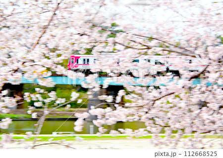 岡崎公園 満開の桜と快走する名鉄電車 岡崎公園 満開の桜と快走する名鉄電車 112668525