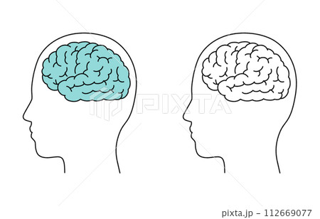脳のシンプルなイラスト 脳のシンプルなイラスト 112669077