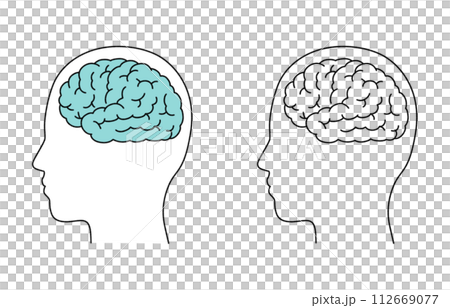 大腦的簡單圖解 大腦的簡單圖解 112669077