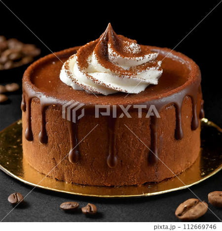 濃厚なチョコレートケーキ 濃厚なチョコレートケーキ 112669746