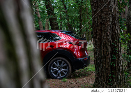 赤 車 日本車 ドライブ 山道 赤 車 日本車 ドライブ 山道 112670254
