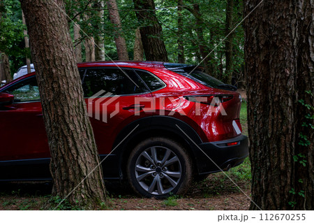 赤 車 日本車 ドライブ 山道 112670255