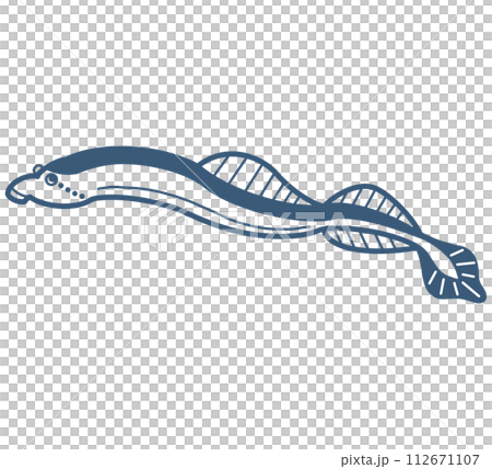 カワヤツメの線画 112671107