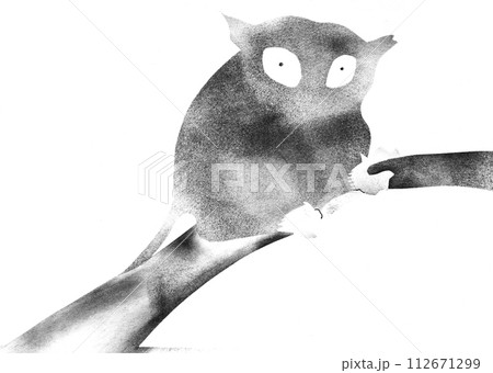 one lemur on tree branch drawn by hand 112671299