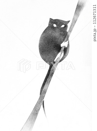 single lemur on twig drawn by hand single lemur on twig drawn by hand 112671311