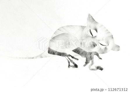 sleeping lemur drawn by hand on paper 112671312