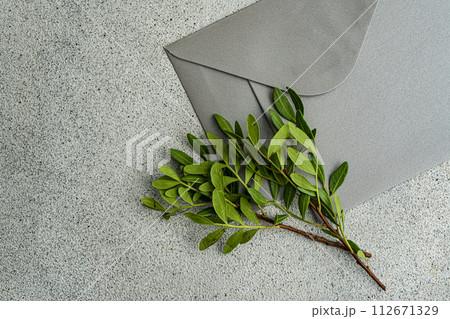 Grey envelop with pistachio branches 112671329
