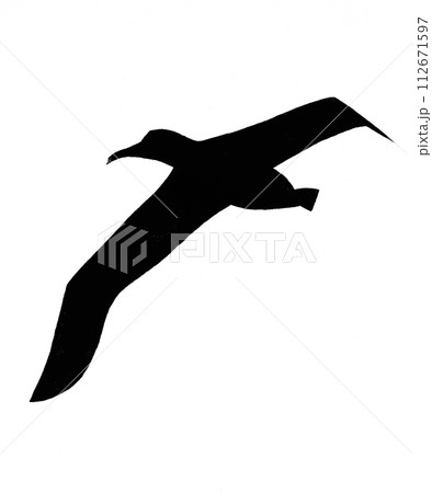 Silhouette of flying great albatross drawn by hand Silhouette of flying great albatross drawn by hand 112671597