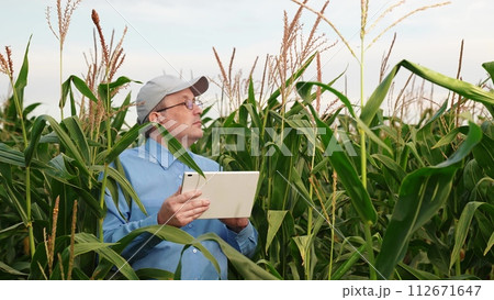 agriculture, farmer with digital tablet working corn field, hands touching tablet while working field, business farm, agribusiness information farming harvesting sunset fertilizer innovation agriculture, farmer with digital tablet working corn field, hands touching tablet while working field, business farm, agribusiness information farming harvesting sunset fertilizer innovation 112671647