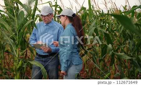 agriculture, farmers handshake field, business corn farm, farmer working tablet with partner, business handshake, agricultural, men, outdoors, walk, farmer hands, happy, agronomy, deal, vegetable 112671649