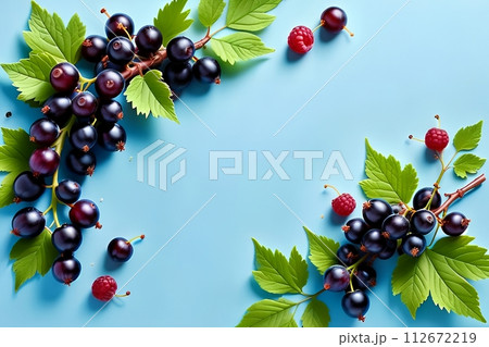 Blue background with black currants. 112672219