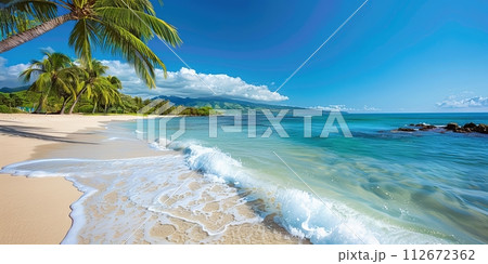 Panorama of beautiful tropical beach with palm trees and turquoise water 112672362