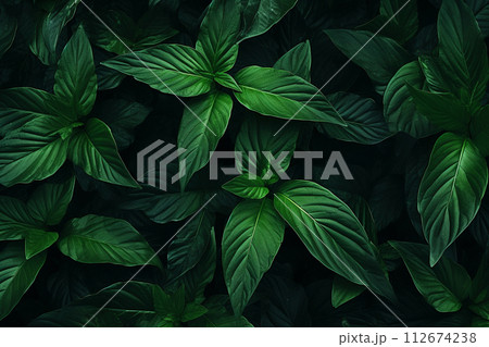 Dark green leaves top view. Generative ai 112674238