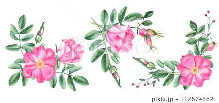 Watercolor dog rose corner bouquets set, composition from flowers, leaves and berries isolated on white background. Botanical hand drawn illustration. Watercolor dog rose corner bouquets set, composition from flowers, leaves and berries isolated on white background. Botanical hand drawn illustration. 112674362