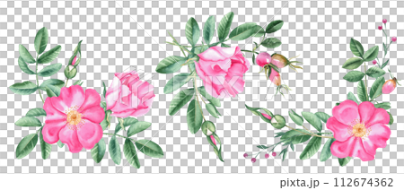 Watercolor dog rose corner bouquets set, composition from flowers, leaves and berries isolated on white background. Botanical hand drawn illustration. Watercolor dog rose corner bouquets set, composition from flowers, leaves and berries isolated on white background. Botanical hand drawn illustration. 112674362