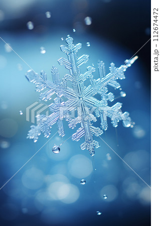 Snow flake macro. Generative ai 112674472