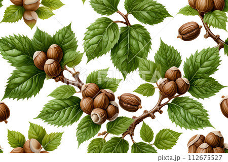 AI-generated content. Hazelnuts with foliage isolated on white background 112675527