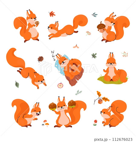 Cartoon squirrel. Forest funny squirrels in different poses. Animals sleep, storing food for winter, play and meditation. Cute nowaday vector character 112676023
