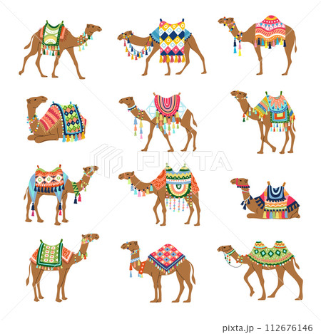 Camel. Decorative pictures of camels from sahara deserts recent vector illustrations set of stylized illustrations 112676146
