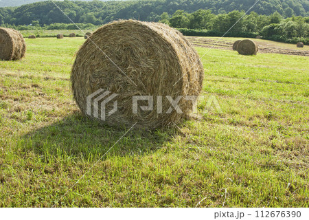 牧草ロールのある風景 牧草ロールのある風景 112676390