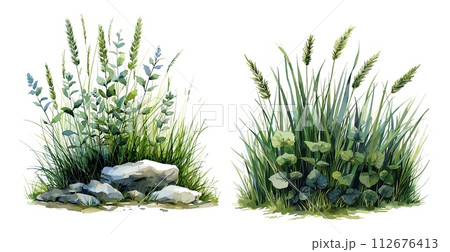 AI-generated content. Grass bushes watercolor vector illustrations. Picturesque elements flora plants stems leaves, botanical green objects isolated on white background 112676413