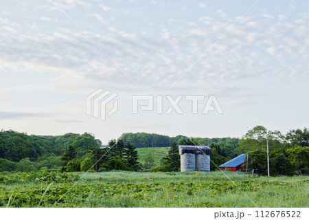北海道の牧草地にあるサイロと農家 北海道の牧草地にあるサイロと農家 112676522