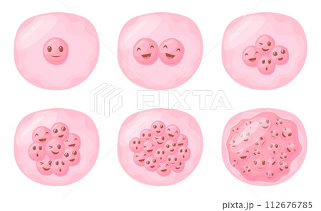 Cartoon fertilized cell. Egg cells division reproductive process animation, cute characters face collagen fission zygote eukaryote mitosis fertility care, neat vector illustration Cartoon fertilized cell. Egg cells division reproductive process animation, cute characters face collagen fission zygote eukaryote mitosis fertility care, neat vector illustration 112676785
