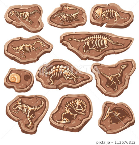 Dinosaur bones fossils. Reptile fossil in ground stone, cartoon lizard skeleton jurassic dinosaurs body bone for museum archaeology animal excavation set recent vector illustration Dinosaur bones fossils. Reptile fossil in ground stone, cartoon lizard skeleton jurassic dinosaurs body bone for museum archaeology animal excavation set recent vector illustration 112676812