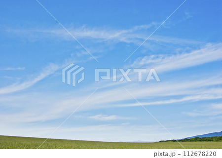 北海道の広い草原と白い雲浮かぶ広い青空 112678220
