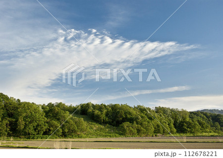 北海道の広い草原と白い雲浮かぶ広い青空 北海道の広い草原と白い雲浮かぶ広い青空 112678221