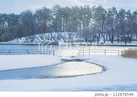 新潟　早朝の弁天潟（聖籠町） 112678540