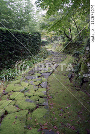 金剛輪寺 赤門から本坊への参道 滋賀県愛知郡愛荘町 金剛輪寺 赤門から本坊への参道 滋賀県愛知郡愛荘町 112678574