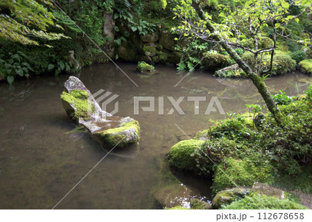 金剛輪寺　本坊の庭園　滋賀県愛知郡愛荘町 112678658