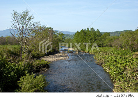 北海道の小川のある風景 112678966