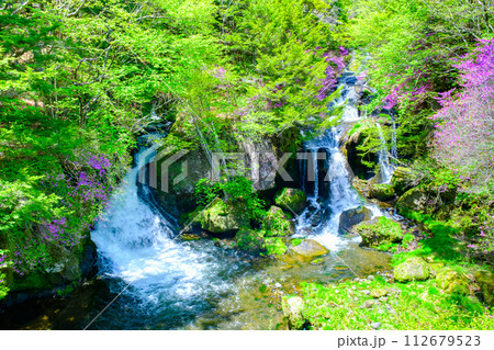 竜頭の滝 竜頭の滝 112679523