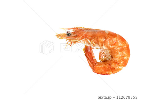 roasted prawn isolated, grilled shrimp roasted prawn isolated, grilled shrimp 112679555